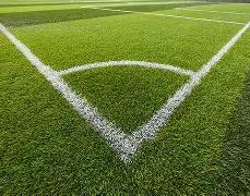 传奇中场费,尔南迪尼奥,告别绿茵场,立博体育官网,APP下载,注册领彩金,官方网站,网站入口