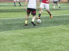 阿根廷女排,三连败,中国女排延,立博体育官网,APP下载,注册领彩金,官方网站,网站入口